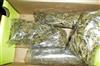 Odisha News:Two-BJD-Leaders-Arrested-for-Ganja-Smuggling-in-Odishas-Boudh-District