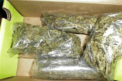 Odisha News:Two-BJD-Leaders-Arrested-for-Ganja-Smuggling-in-Odishas-Boudh-District