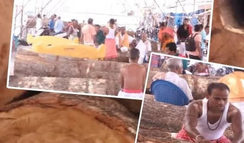 Odisha News:Wheels-of-Faith-Chariot-Construction-Begins-for-Rath-Yatra