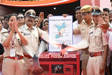 Odisha News:Wings-of-History-Odishas-Pigeon-Post-Takes-Flight-Again