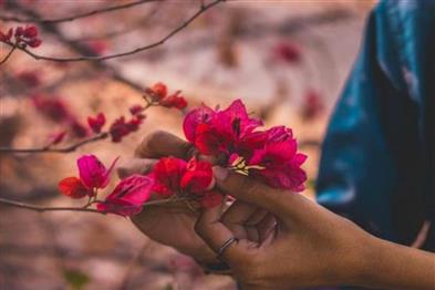Odisha News:Youth-Dies-After-Touching-Electrified-Wire-Set-to-Deter-Flower-Theft
